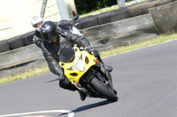 Fowlers 0869