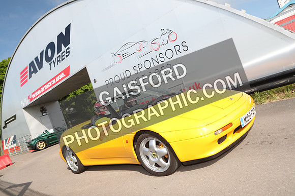 Lotus 1567
