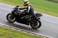 Fowlers 0655