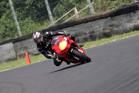 Fowlers 0774
