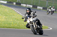 Fowlers 0033