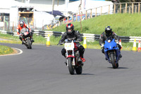 Fowlers 0270