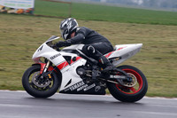 Fowlers 0529