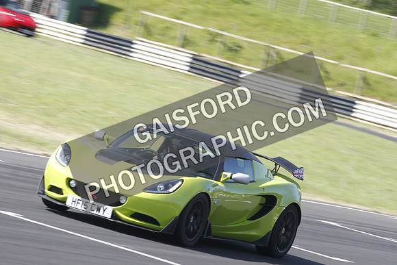 Lotus 0339