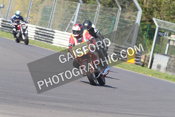 BIKES 1439