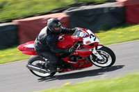 Fowlers 0961