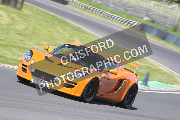 Lotus 2463