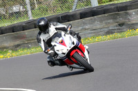 Fowlers 0595
