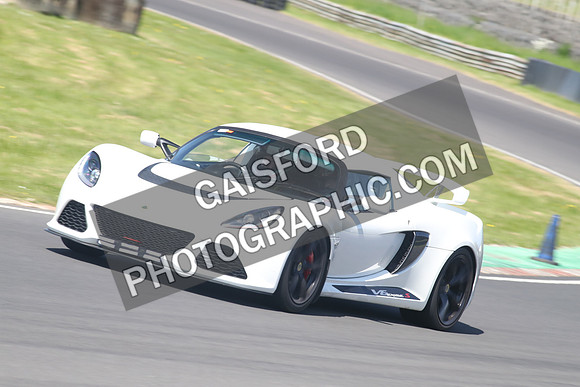 Lotus 2469