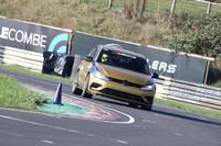 ( VW Gold )