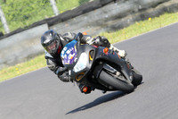 Fowlers 0478