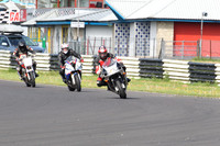 Fowlers 0013