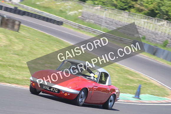 Lotus 2456