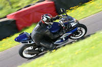 Fowlers 0988