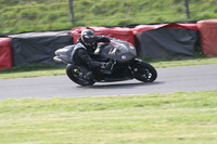 Fowlers 0573