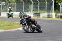 Fowlers 0796