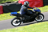 Fowlers 0864