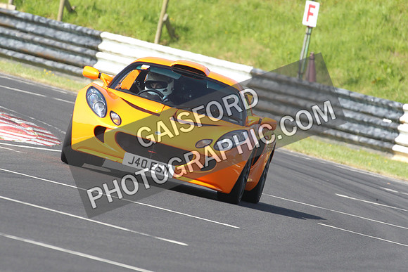Lotus 0176