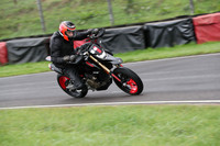 BIKES 0341