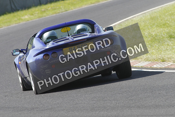 Lotus 2537
