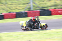 Fowlers 0337