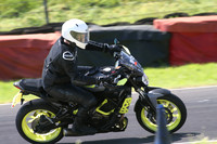 Fowlers 1251