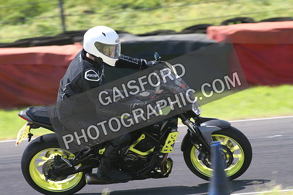 Fowlers 1251