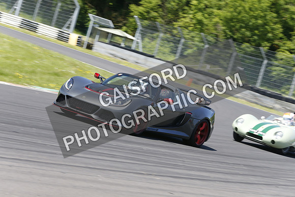 Lotus 0829