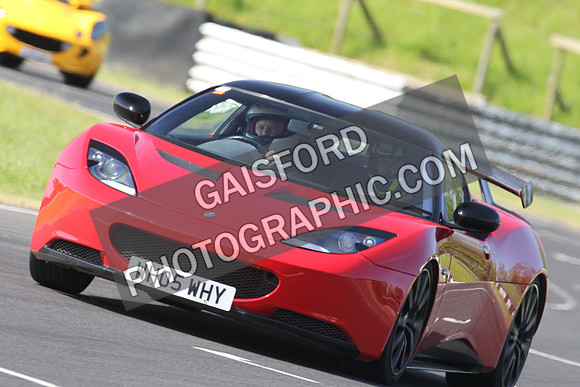 Lotus 0391
