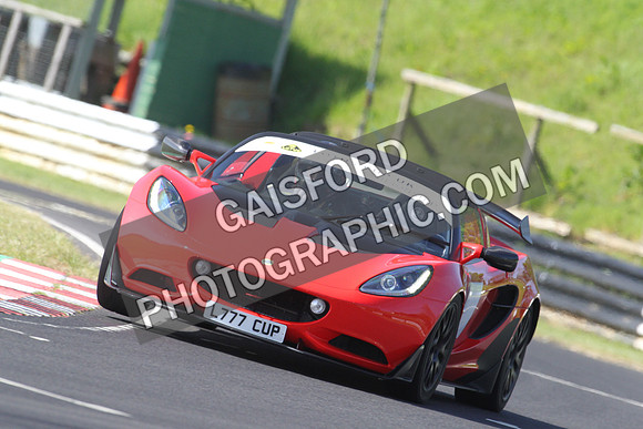 Lotus 0295