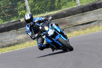 Fowlers 0990