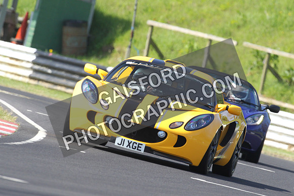 Lotus 0280