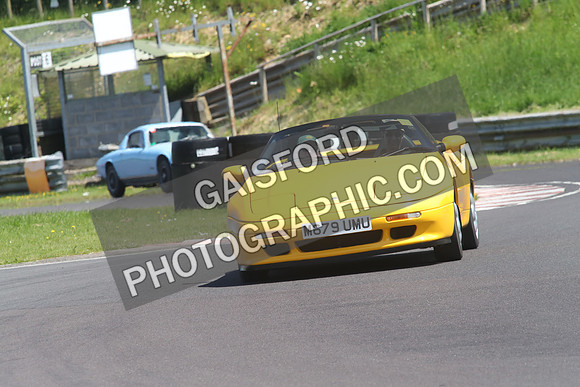 Lotus 1359