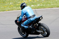 Fowlers 1249