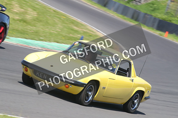 Lotus 2333