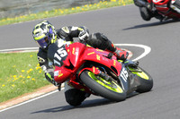 Fowlers 0553