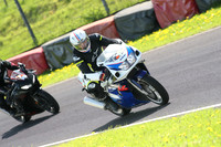 Fowlers 1125