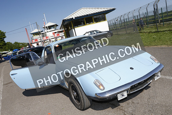 Lotus 2558