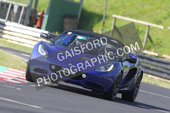 Lotus 0281