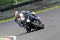 Fowlers 0491
