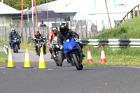 Fowlers 0238