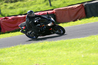 Fowlers 0868