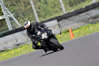 Fowlers 0628