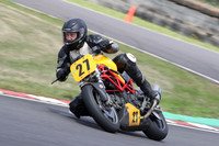 Fowlers 0784