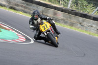 Fowlers 0783