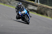 Fowlers 0793