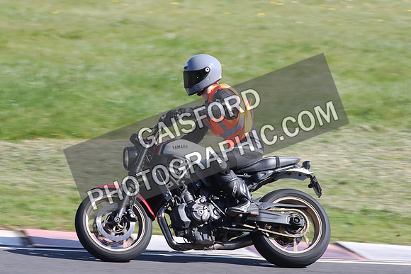 BIKES 2124