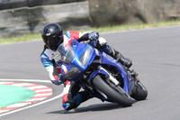 Fowlers 0734