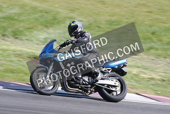 BIKES 2103