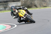 Fowlers 0727